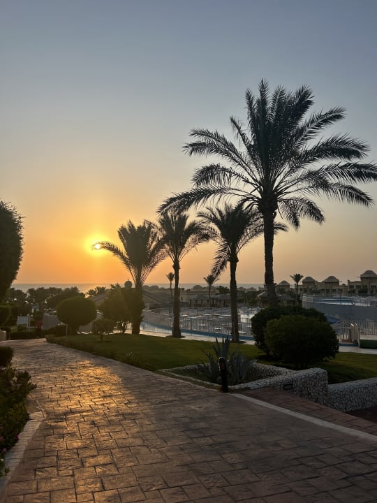 Ausblick Serenity Alpha Beach