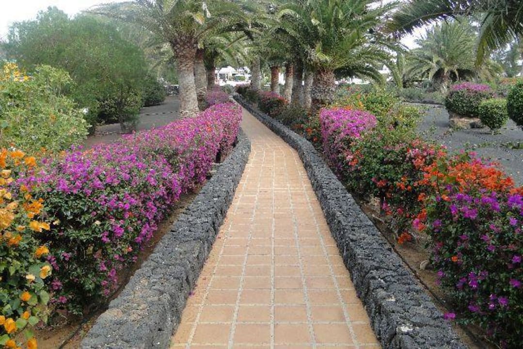 Weg zum Hotel Relaxia Olivina