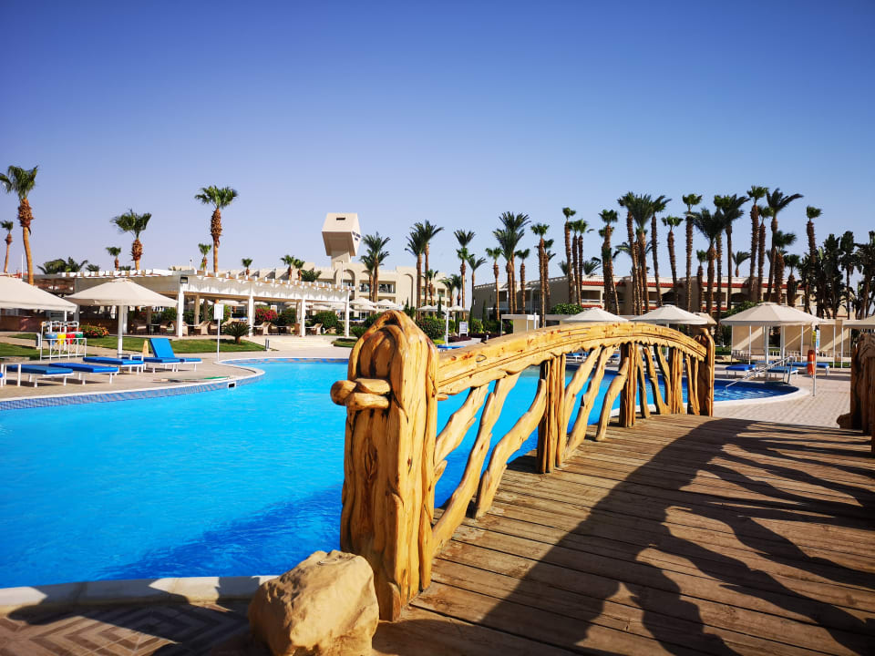 Pool Beach Albatros Resort