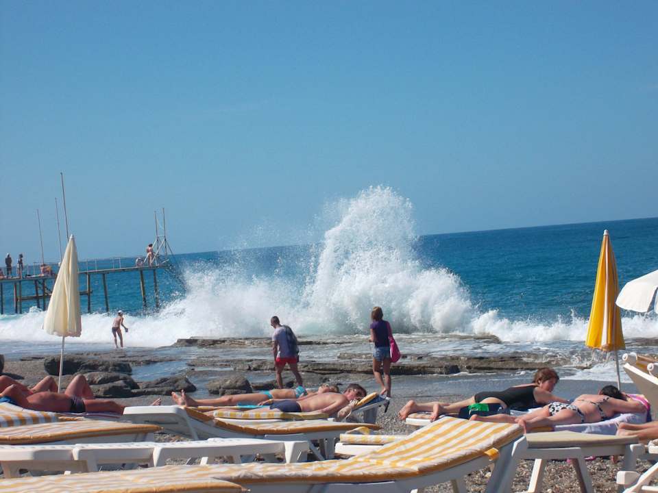 Cool Hotel Ideal Beach