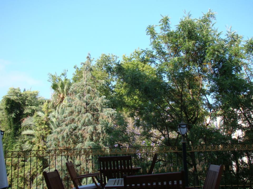 Растительность Botanik Hotel & Resort
