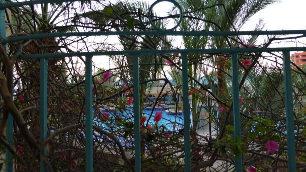 Andere.. Bella Vista Resort Hurghada