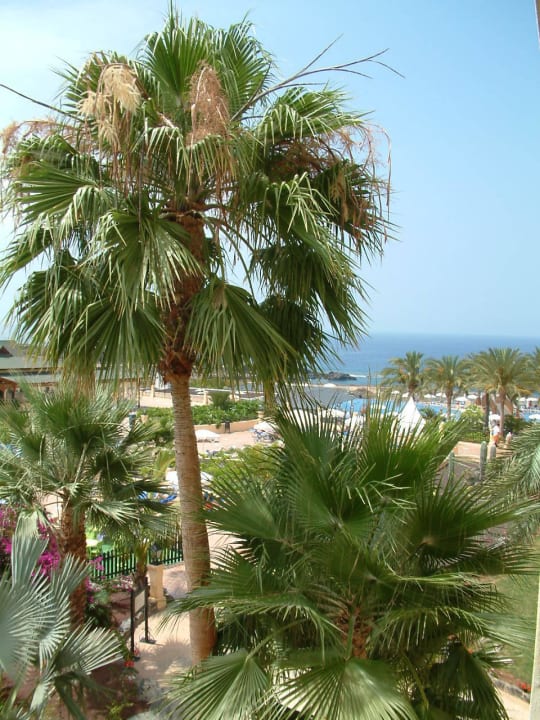 Ausblick Bahia Principe Sunlight Costa Adeje