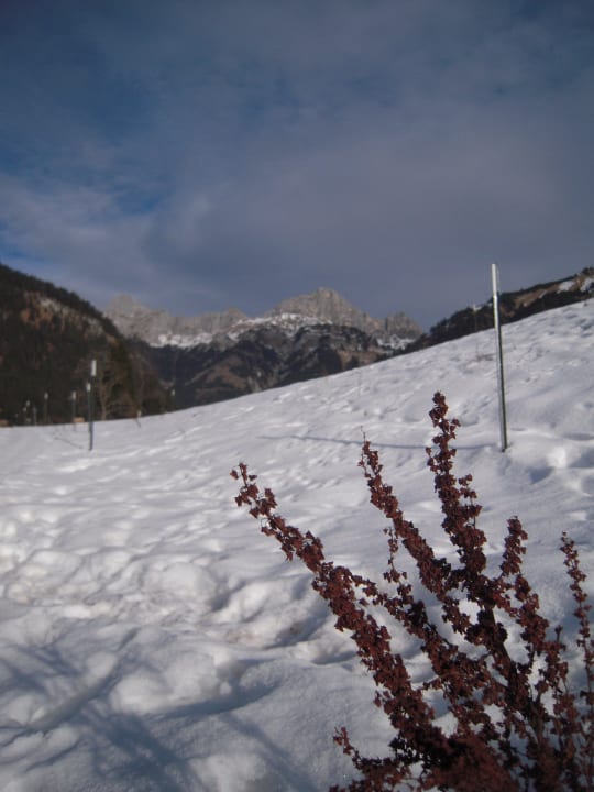 Ausblick bei der Wanderung Panoramahotel Talhof Garni