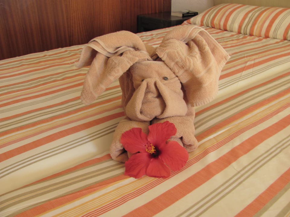 Zimmer SBH Hotel Taro Beach