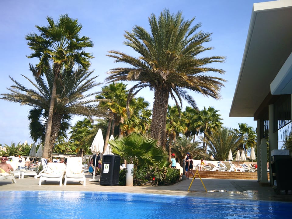 Pool Hotel Riu Cabo Verde