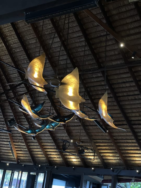 Sonstiges Kuredu Island Resort & Spa