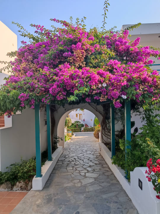 Gartenanlage Mastichari Bay Hotel