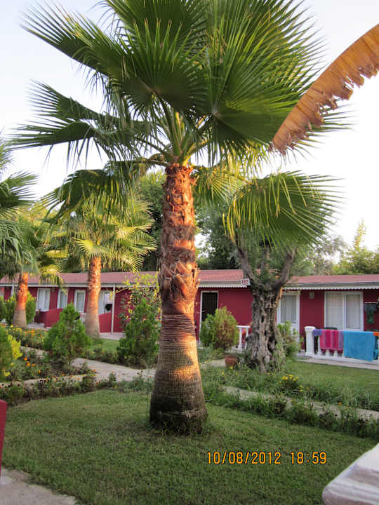 "Unser Vorgarten" Side Altinkum Hotel