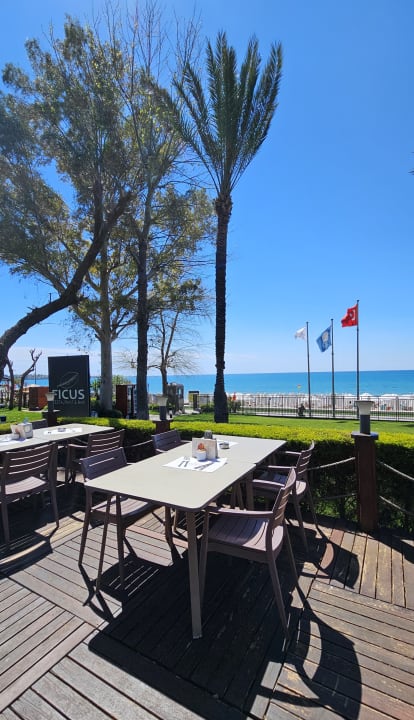 Gastro Side Star Elegance