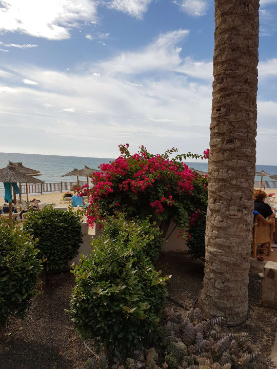 Ausblick SBH Costa Calma Beach Resort