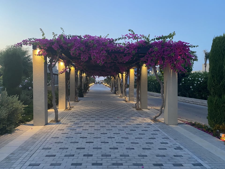 Gartenanlage Astir Odysseus Kos Resort & Spa