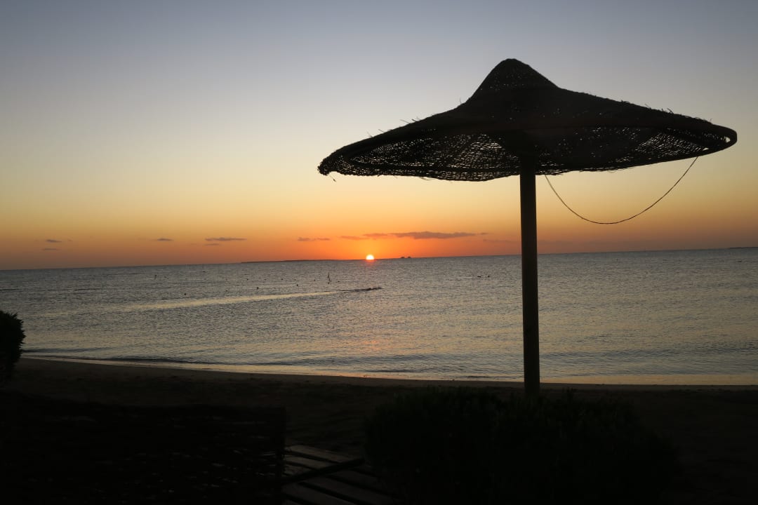 Ausblick Shams Alam Beach Resort