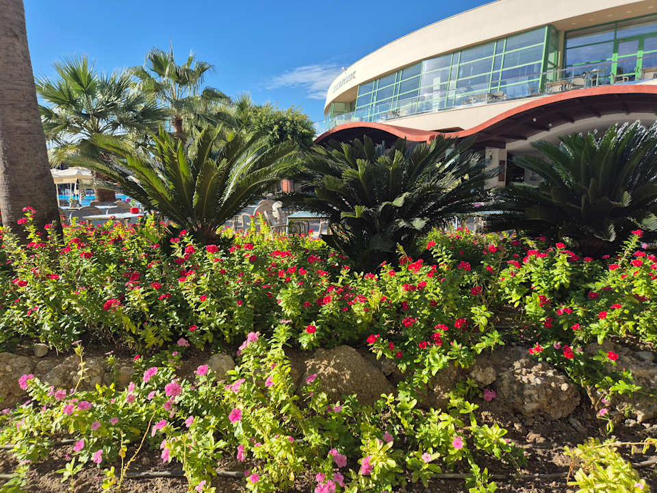 Gartenanlage VONRESORT Golden Coast