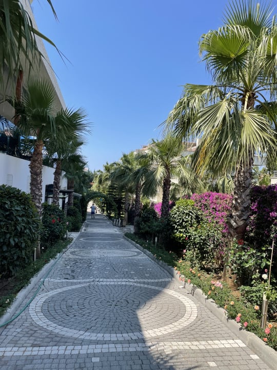 Gartenanlage Dream World Hill Hotel