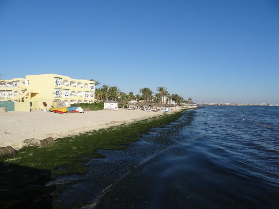 Strand im Juni Houda Golf & Beach Club