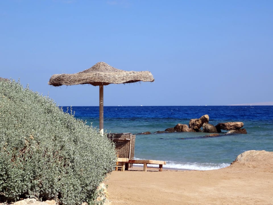 Beach 2 Impressionen Pickalbatros Citadel Resort