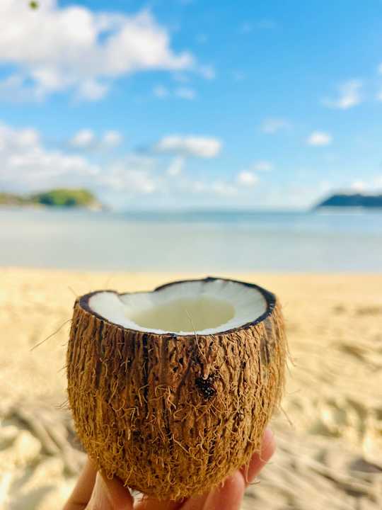 Sonstiges Constance Ephelia