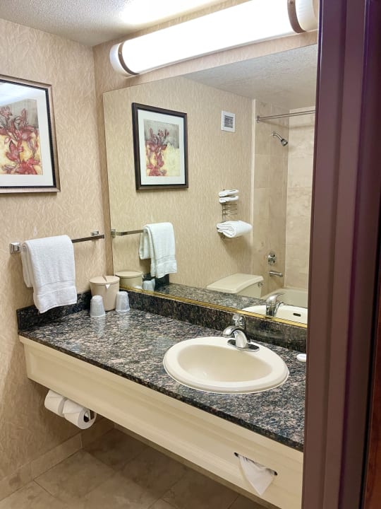 Zimmer Hotel Circus Circus