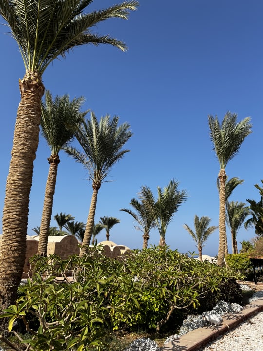 Gartenanlage Mövenpick Resort El Quseir