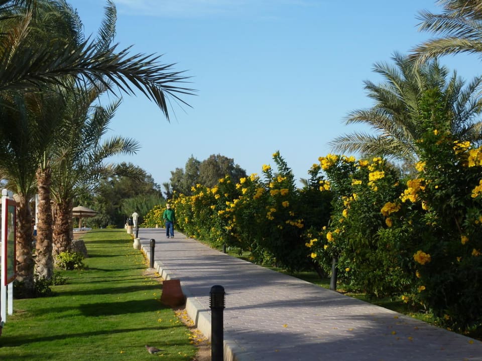 Strand Promenade Fort Arabesque Resort, Spa & Villas