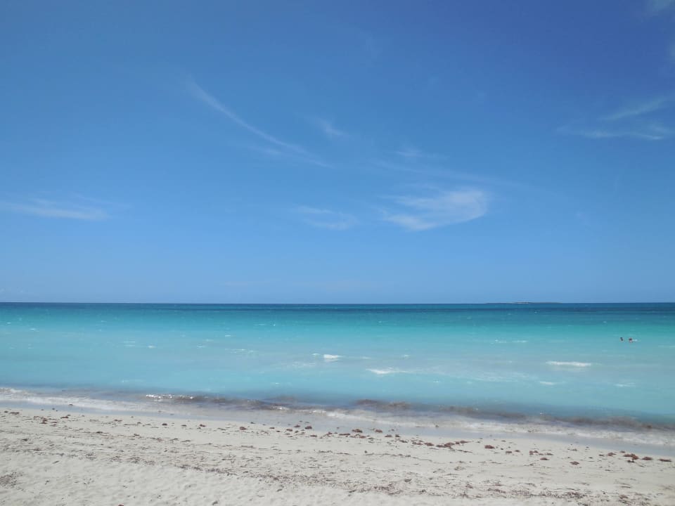 Ruhiger Strandabschnitt Iberostar Origin Playa Alameda