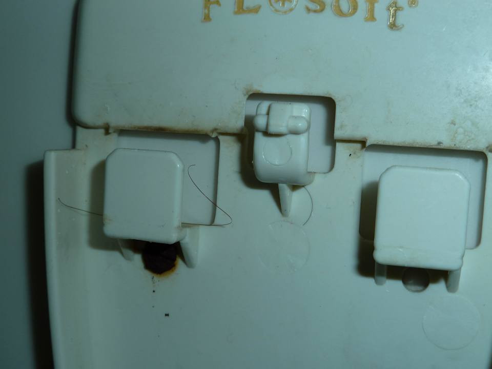 Bad Utopia Beach Club