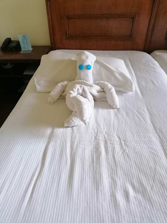 Gastro Eagles Paradise Abu Soma