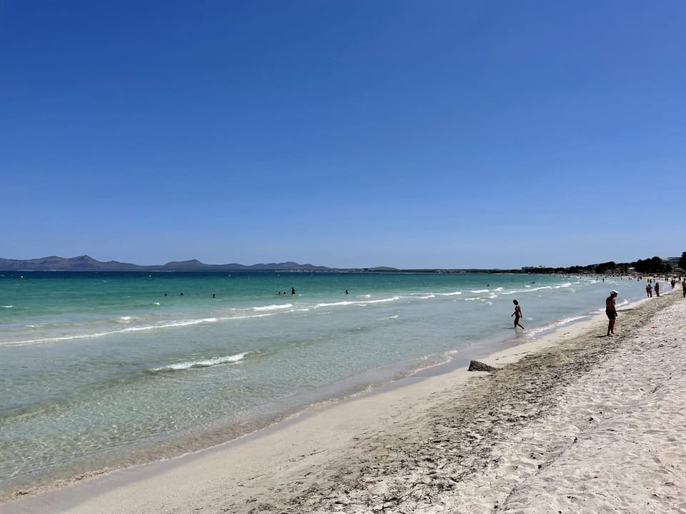 Strand Grupotel Farrutx