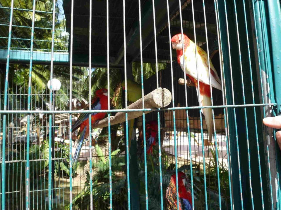 Santa Clara Hotel Los Caneyes