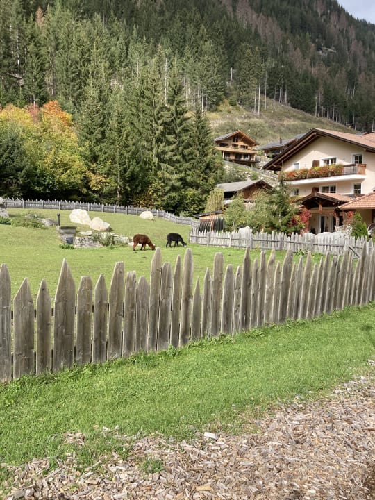 Außenansicht Alphotel Tyrol