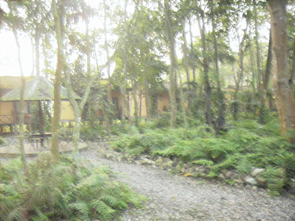 Garten Hotel Maruni Sanctuary Lodge