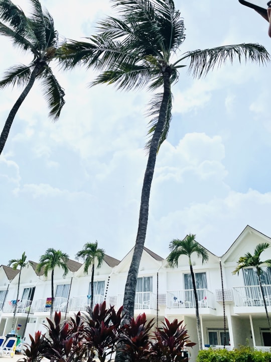 Gartenanlage Hotel Viva Dominicus Beach by Wyndham - All Inclusive Resort