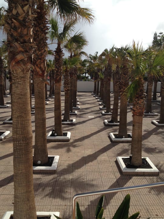 Die Gartenanlage Blick vom Balkon :-O BLUESEA Costa Bastian