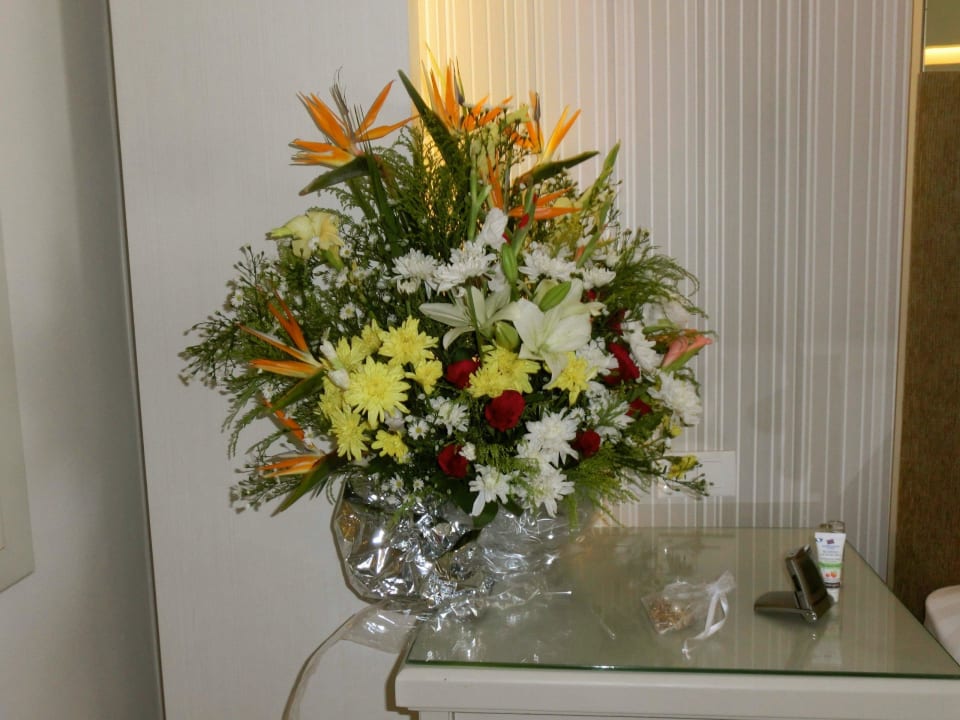 Tolle Überraschung Premier Le Reve Hotel & Spa