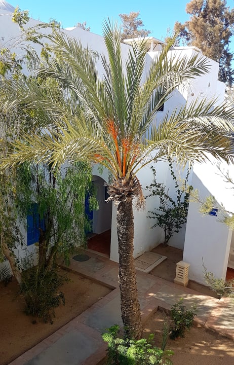 Außenansicht Royal Karthago Djerba