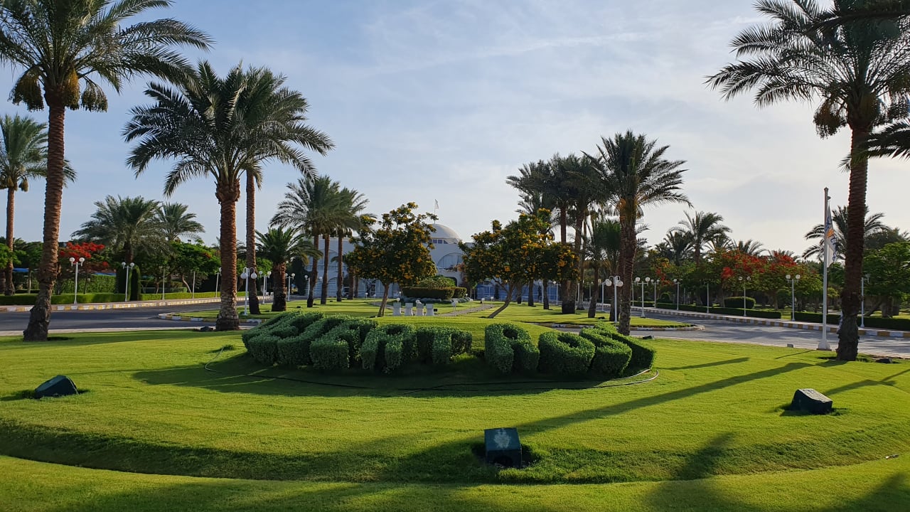 Gartenanlage Desert Rose