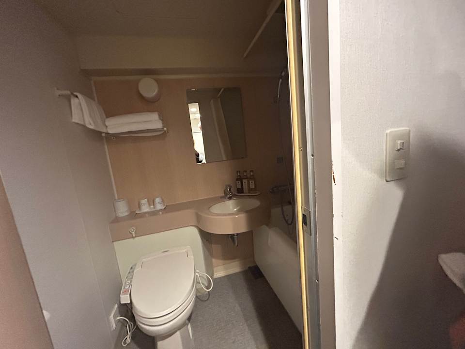 Zimmer The Hedistar Hotel Narita