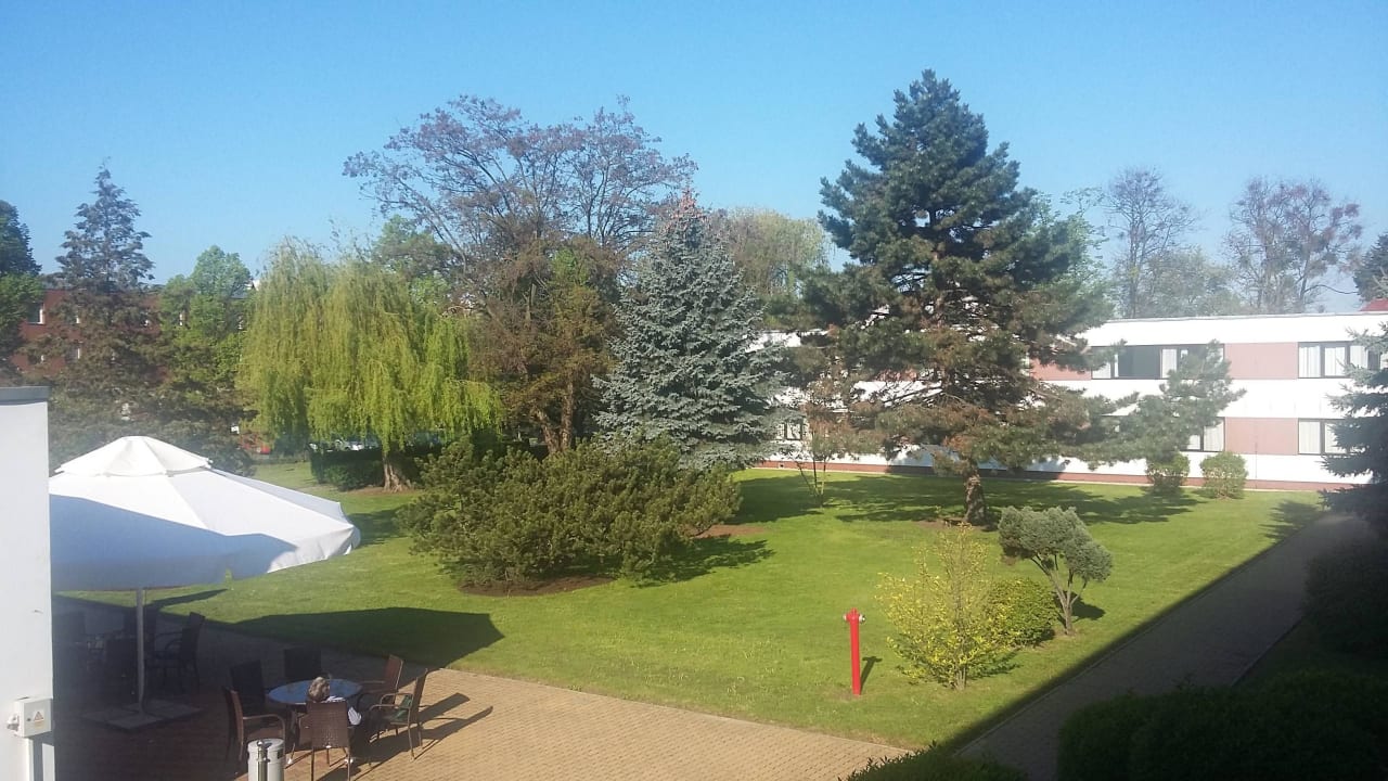 Wewnętrzny ogród Hotel Novotel Wroclaw