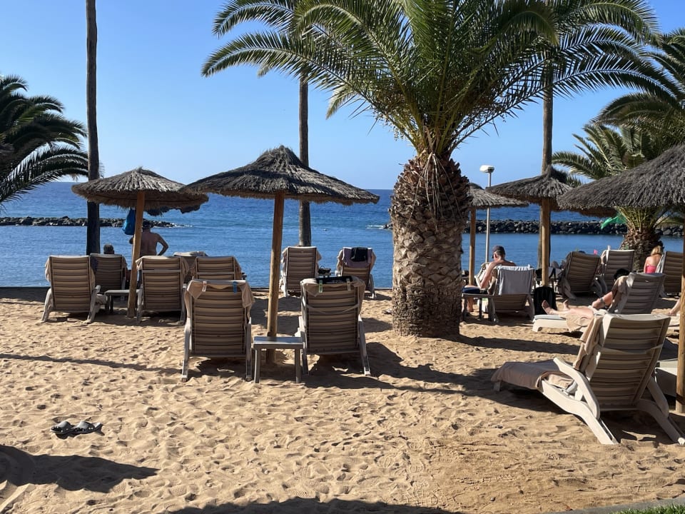 Gartenanlage Hotel Riu Palace Tenerife