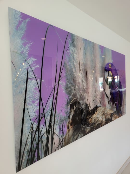 Sonstiges Iberostar Selection Playa de Palma