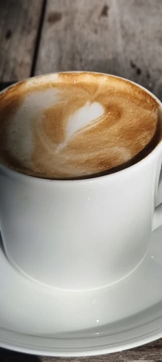 Gastro Pałac Ciekocinko Hotel Resort & Wellness