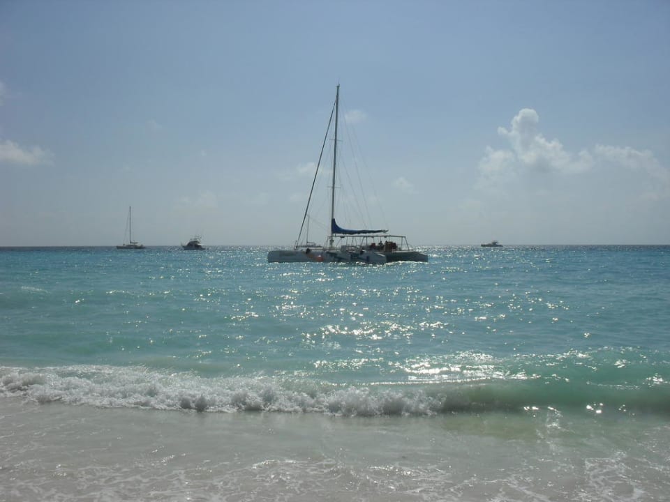 Ausflug nach Saona Hotel Viva Dominicus Palace by Wyndham-All Inclusive Resort