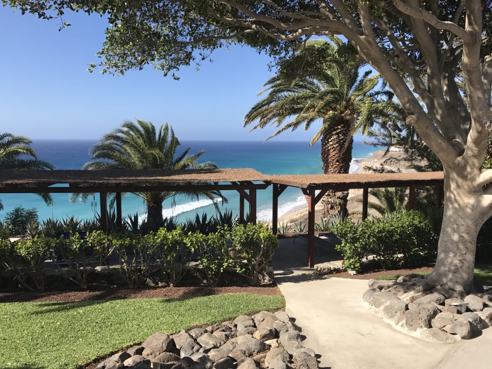 Gartenanlage ROBINSON ESQUINZO PLAYA