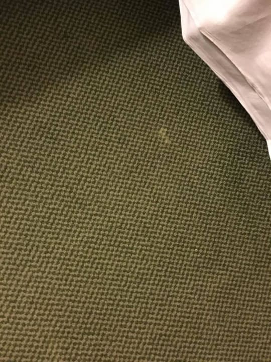 Flecken auf dem Teppich Hotel Riu Oliva Beach Resort