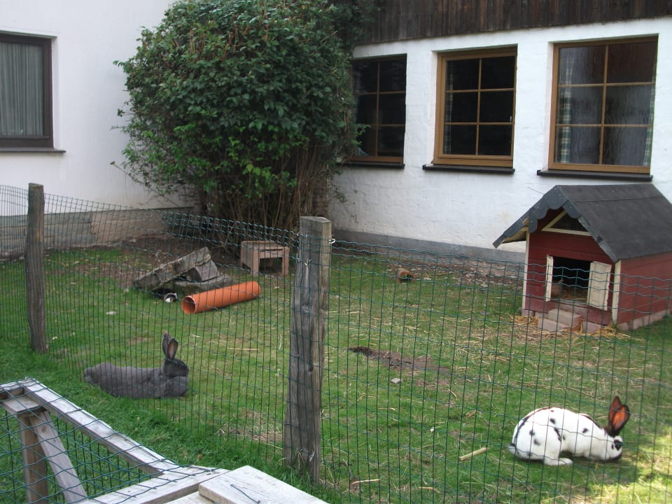 Sonstiges Wiesenberghof