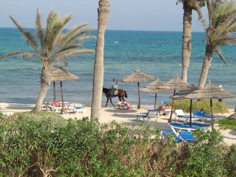 Blick vom Zimmer zum Strand Djerba Castille