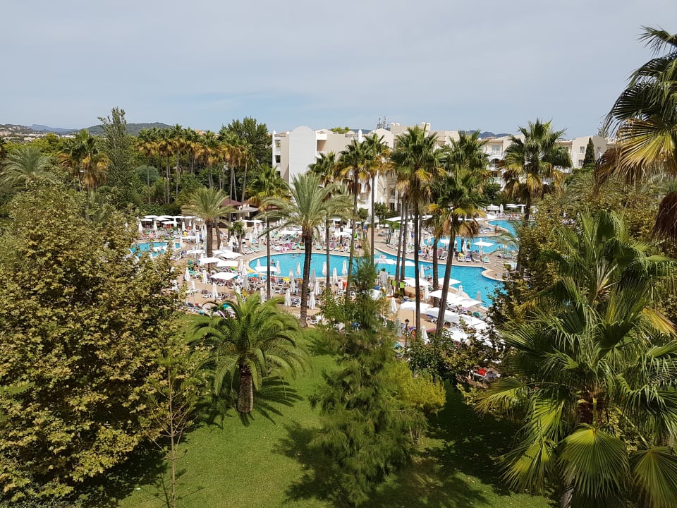 Ausblick Protur Safari Park Aparthotel