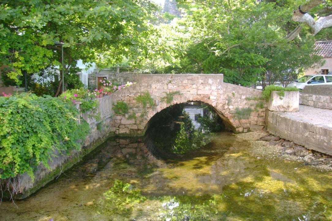 Unmittelbar neben dem Hotel Maistra Select Mlini Hotel