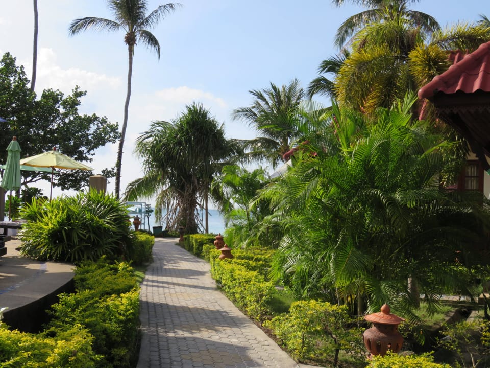 Weg zum Strand Long Bay Resort Koh Phangan